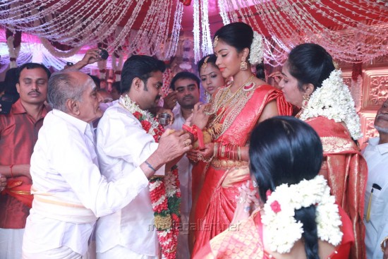 Amala Paul And Director Al Vijay Wedding Photos
