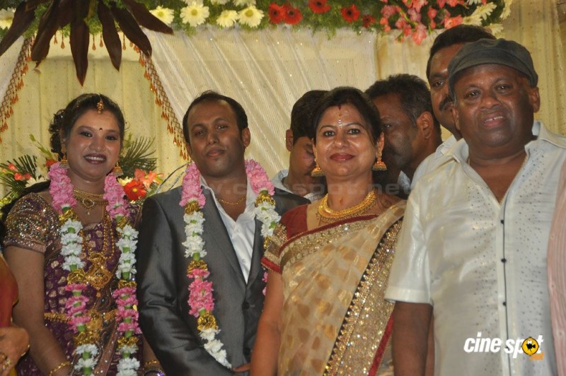 Actor Senthil Son Hemachandra Prabhu And Priyanka Marriage Photos