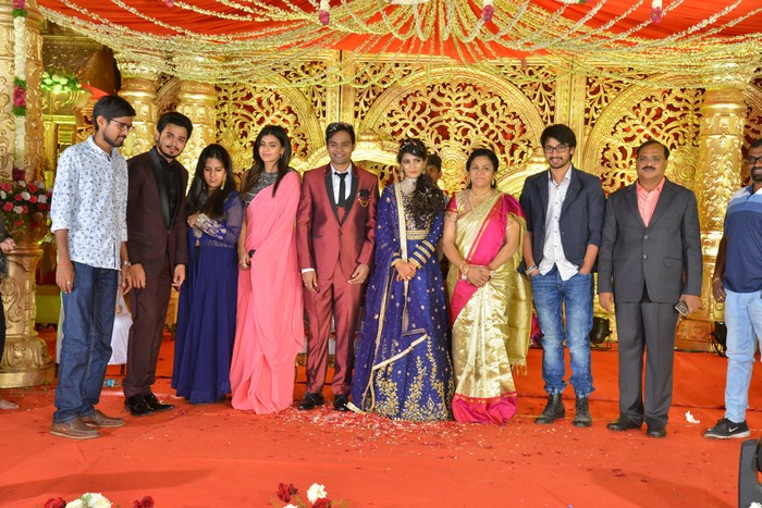 Producer Krishna Reddy Son Wedding Reception Photos