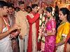 TDP Revanth Reddy Daughter Nymisha Reddy And Satyanaryana Reddy Wedding Photos