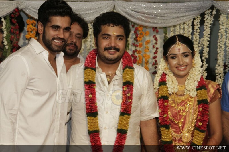Malayalam Actor Vinu Mohan And Vidhya Wedding Photos
