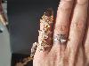 Ex Bigg Boss Contestant And Holy Mother Sofia Hayat Marriage Pics